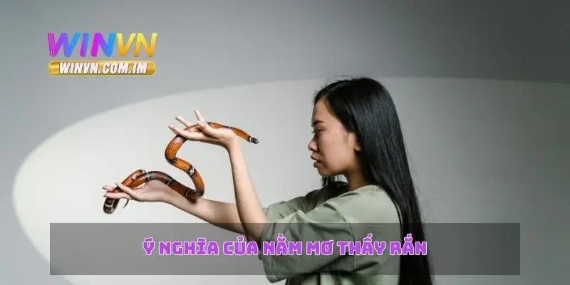 Ý nghĩa của nằm mơ thấy rắn